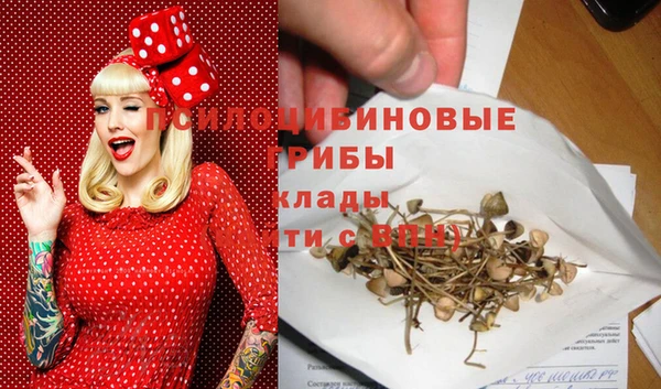 таблы Кодинск