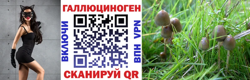 Псилоцибиновые грибы Psilocybe Купить закладки Суровикино